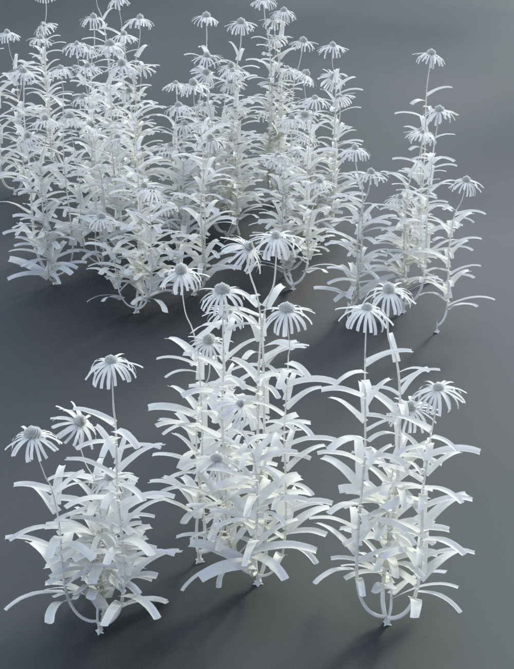 Garden Flowers - Cone Flowers by: MartinJFrost, 3D Models by Daz 3D