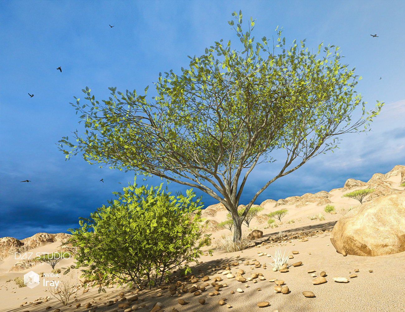 Desert Depression by: Predatron, 3D Models by Daz 3D