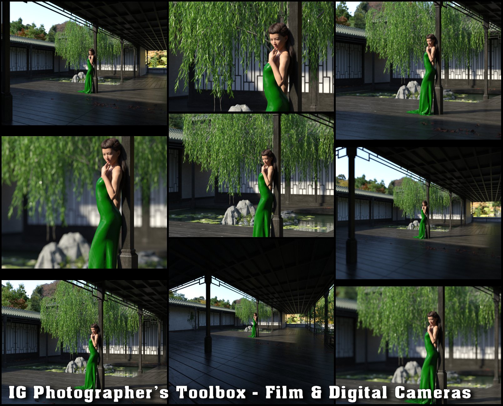 IG Photographer's Toolbox Film & Digital Cameras Daz 3D