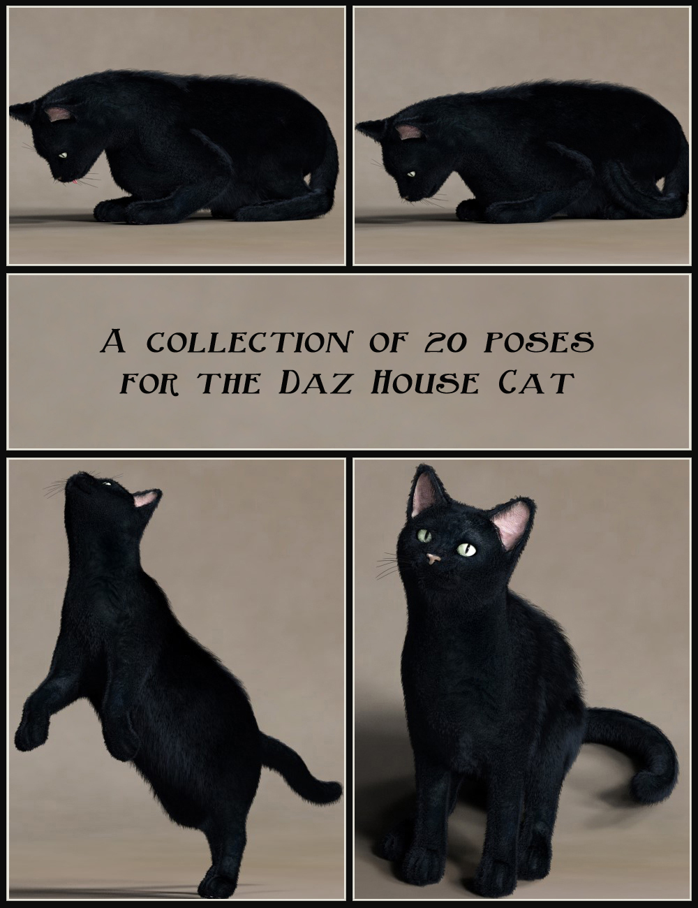 House Cattitude I House Cattitude I by: Elliandra, 3D Models by Daz 3D