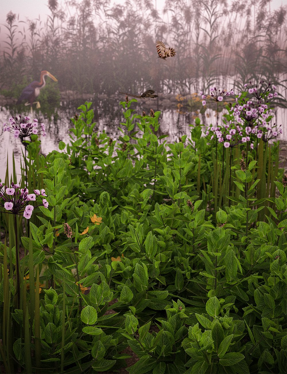 Garden Plants - Herbs Vol 2 Garden Plants - Herbs Vol 2 by: MartinJFrost, 3D Models by Daz 3D