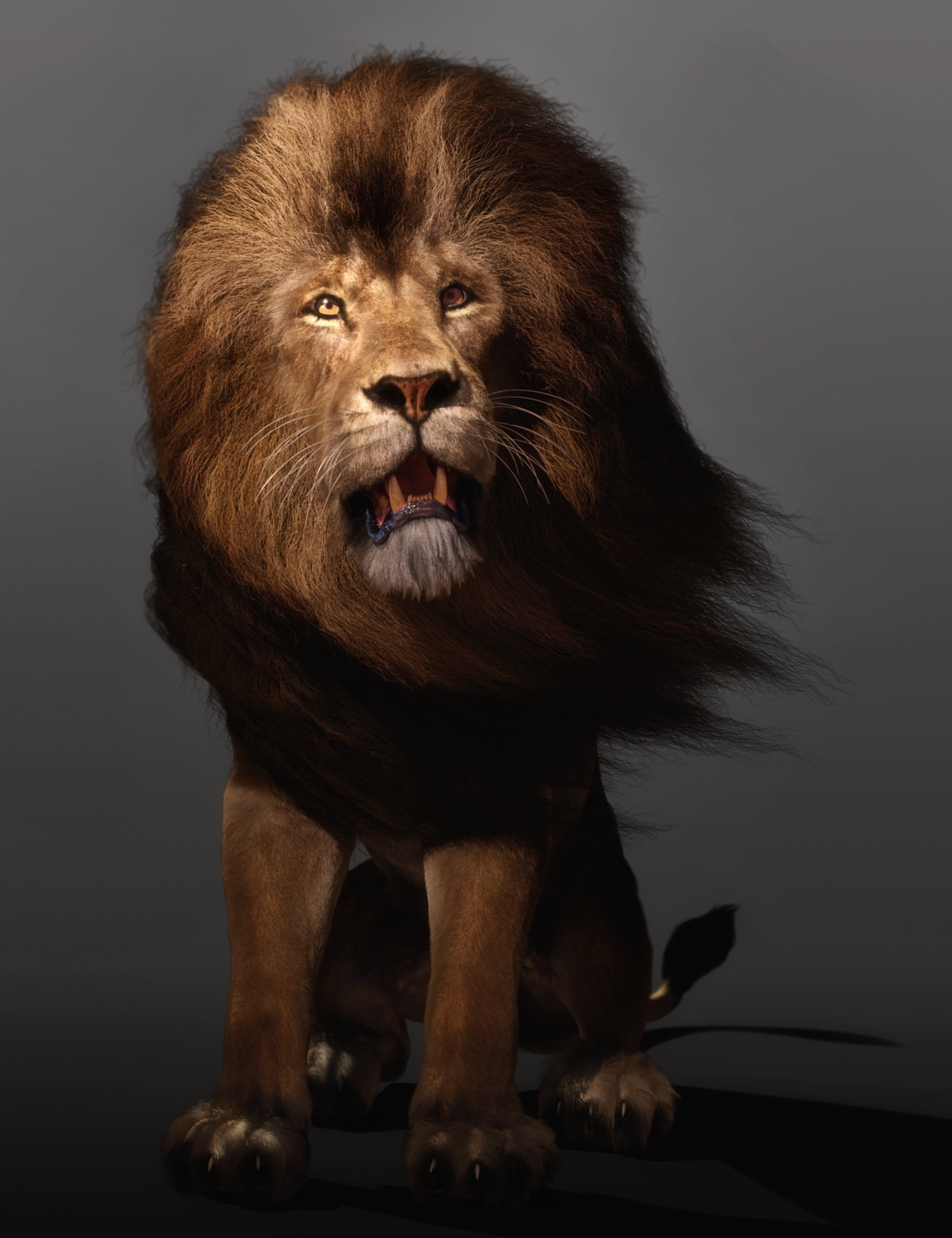Felidae by AM - Lion - dForce Addon by: Alessandro_AM, 3D Models by Daz 3D