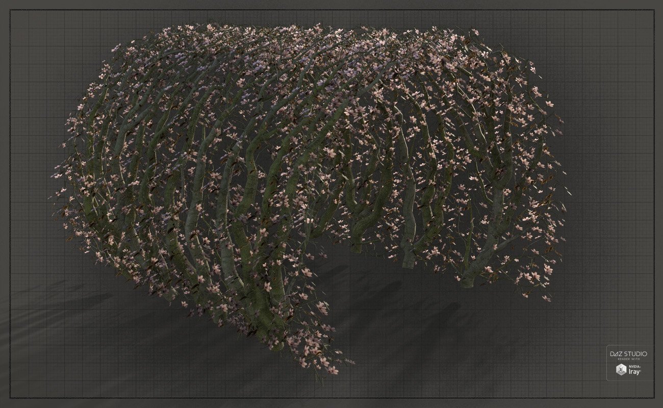 Natural Garden Arches Natural Garden Arches by: David BrinnenForbiddenWhispers, 3D Models by Daz 3D