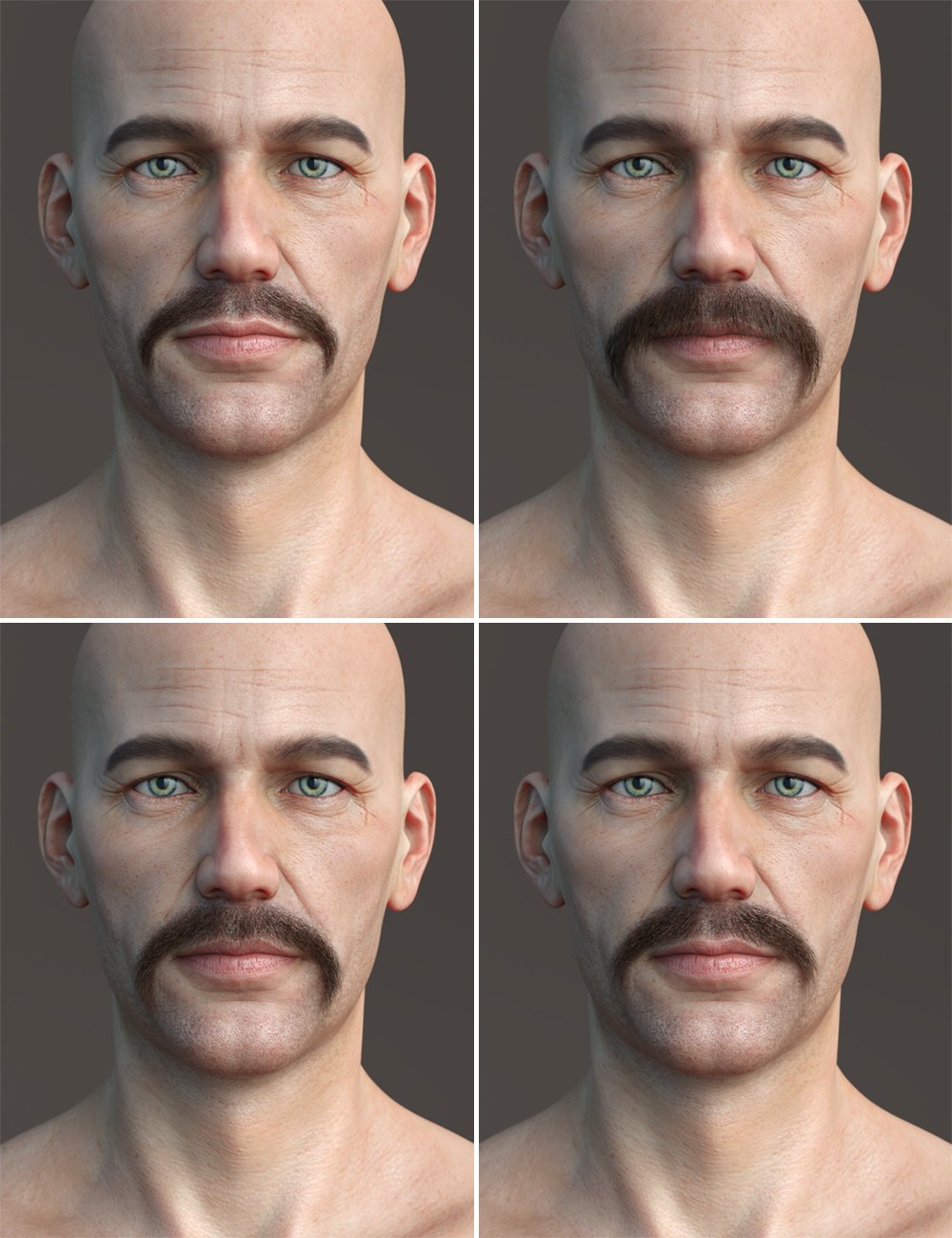 Stranded Whiskers for Genesis 8 Male(s) Stranded Whiskers for Genesis 8 Male(s) by: Laticis Imagery, 3D Models by Daz 3D