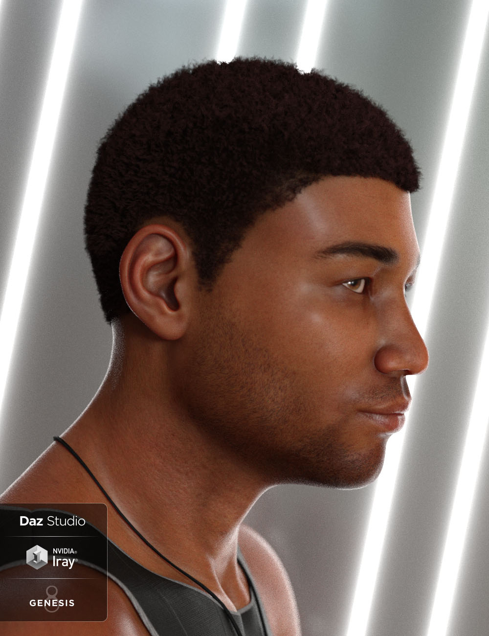 Malik Hair for Genesis 8 and Genesis 3 Male(s) by: 3DCelebrity, 3D Models by Daz 3D