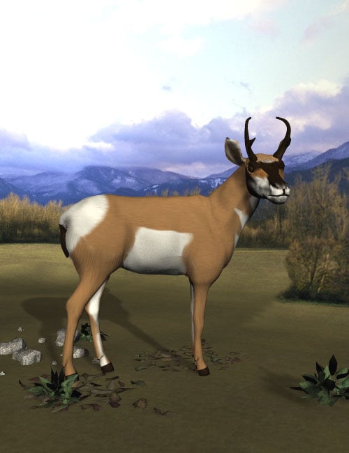 Pronghorn Antelope by: Debra Ross, 3D Models by Daz 3D