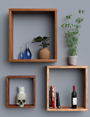 Contemporary Shelves by: Sapphire3D, 3D Models by Daz 3D