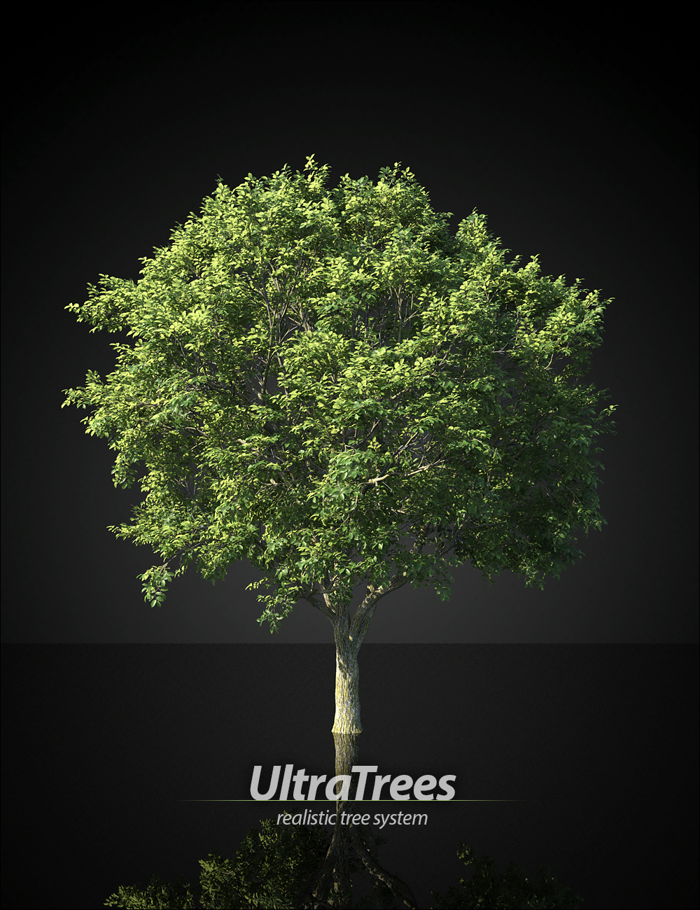 UltraTrees - Realistic Tree System by: HowieFarkes, 3D Models by Daz 3D