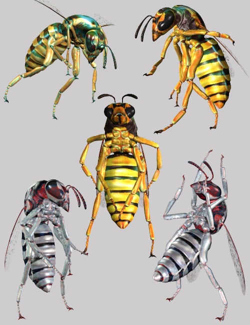 Insect-I-Vore 'The Wasp' | Daz 3D