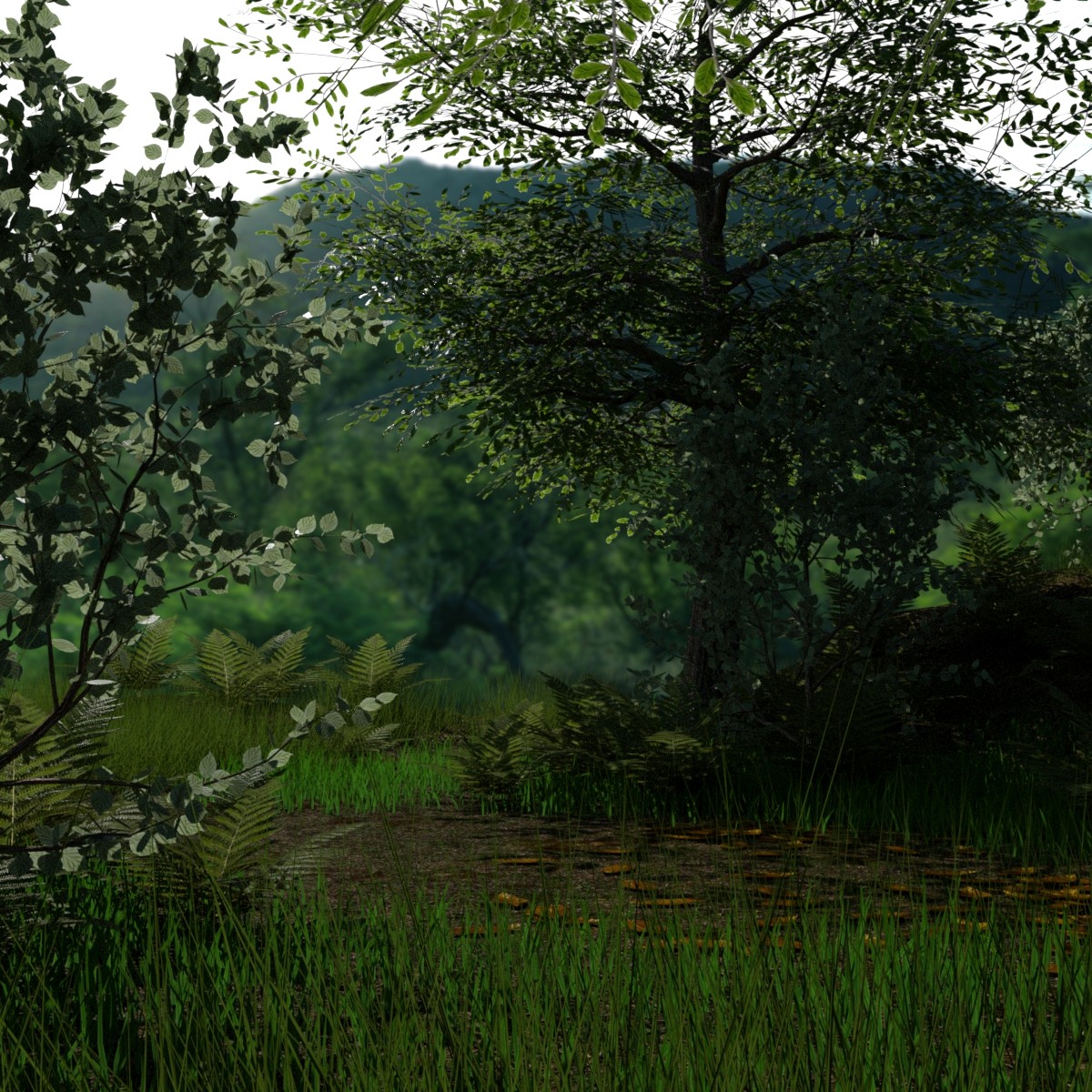 My Little Forest by: JeffersonAF, 3D Models by Daz 3D