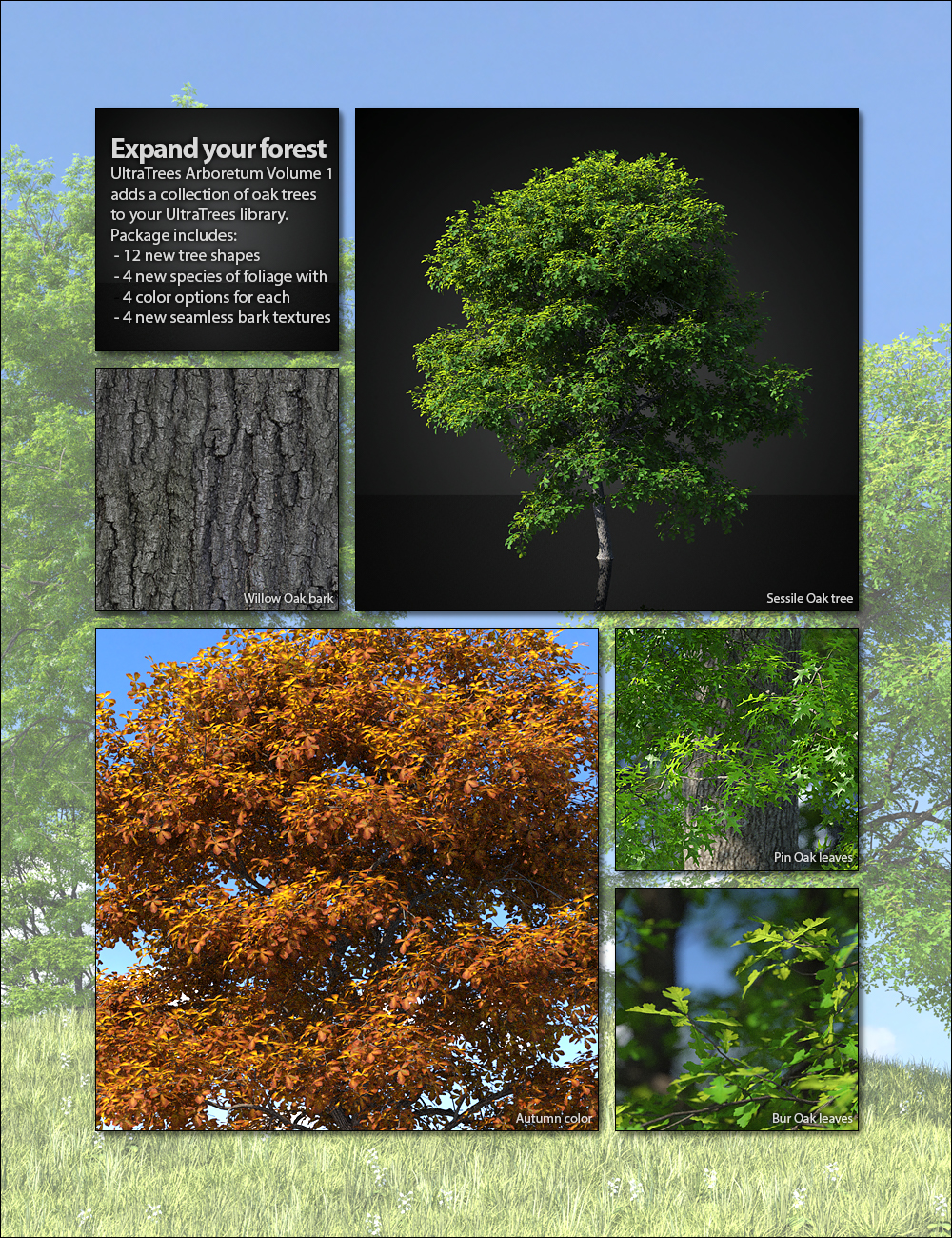 UltraTrees - Arboretum Volume 1 by: HowieFarkes, 3D Models by Daz 3D