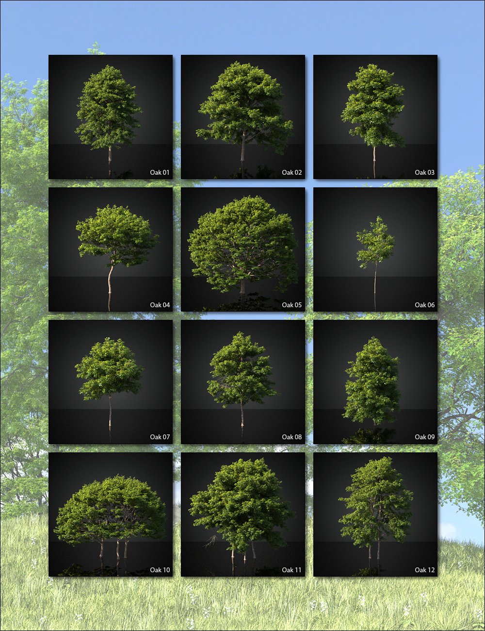 UltraTrees - Arboretum Volume 1 by: HowieFarkes, 3D Models by Daz 3D