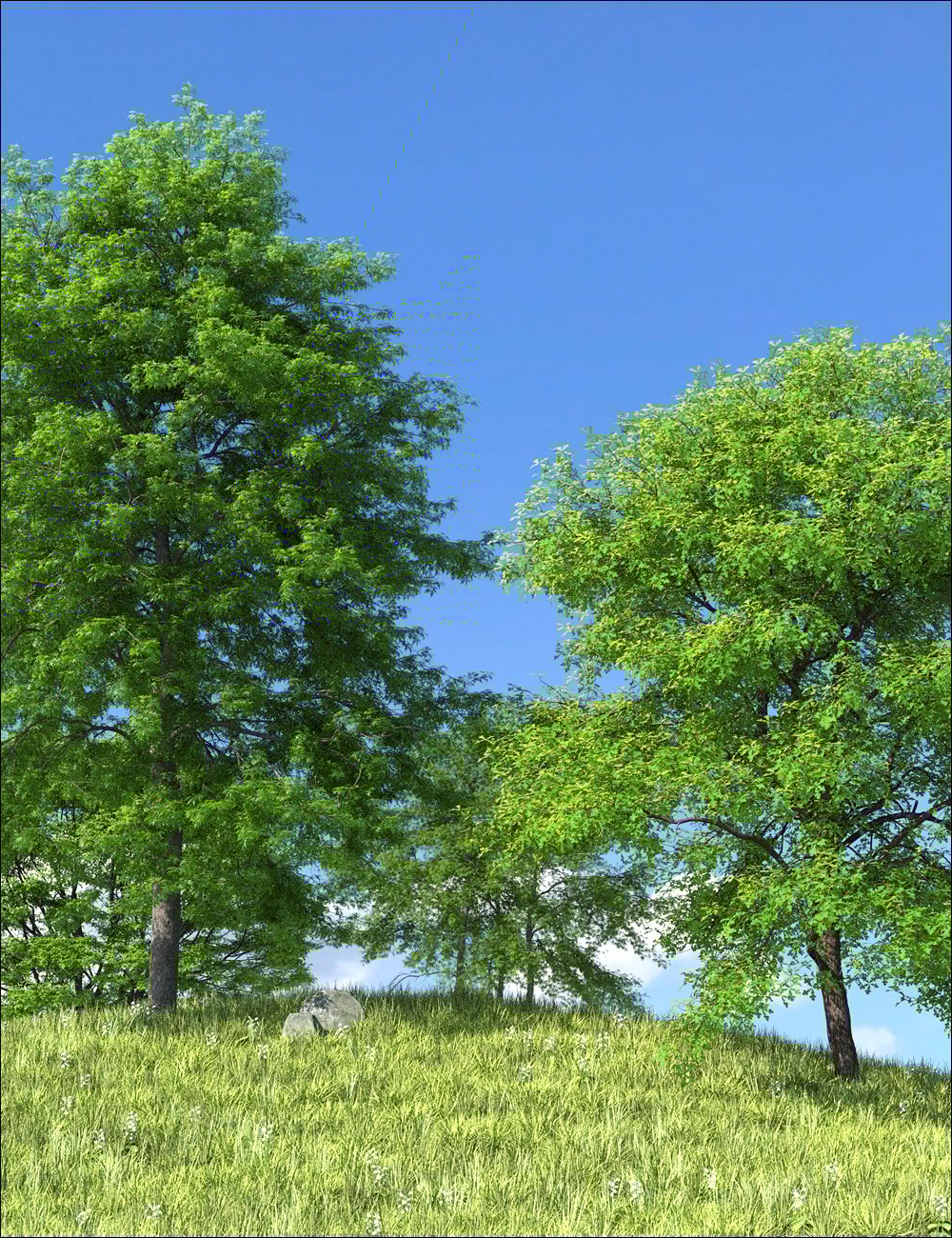 UltraTrees - Arboretum Volume 1 UltraTrees - Arboretum Volume 1 by: HowieFarkes, 3D Models by Daz 3D
