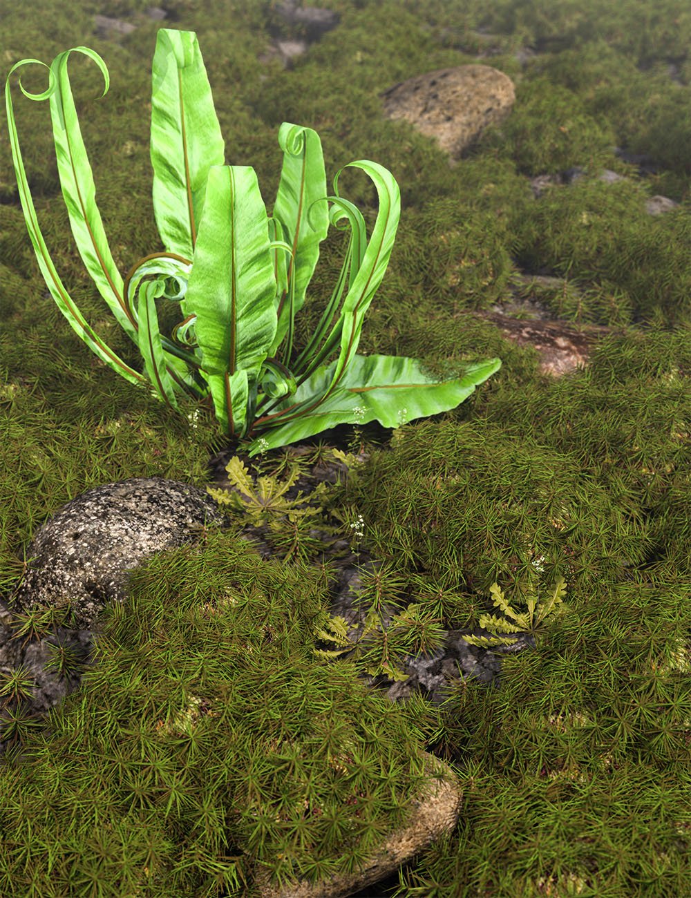 Tiny Plants vol 2 - Moss by: MartinJFrost, 3D Models by Daz 3D