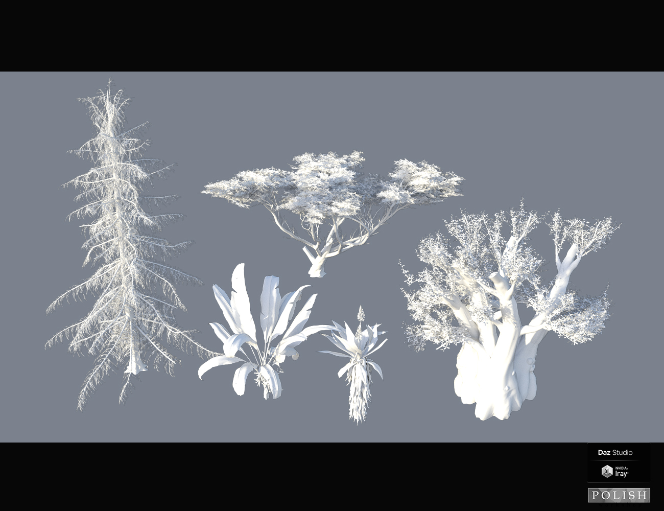 Nature Plants 01 by: Polish, 3D Models by Daz 3D