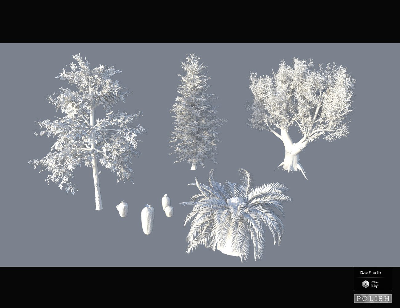 Nature Plants 02 by: Polish, 3D Models by Daz 3D