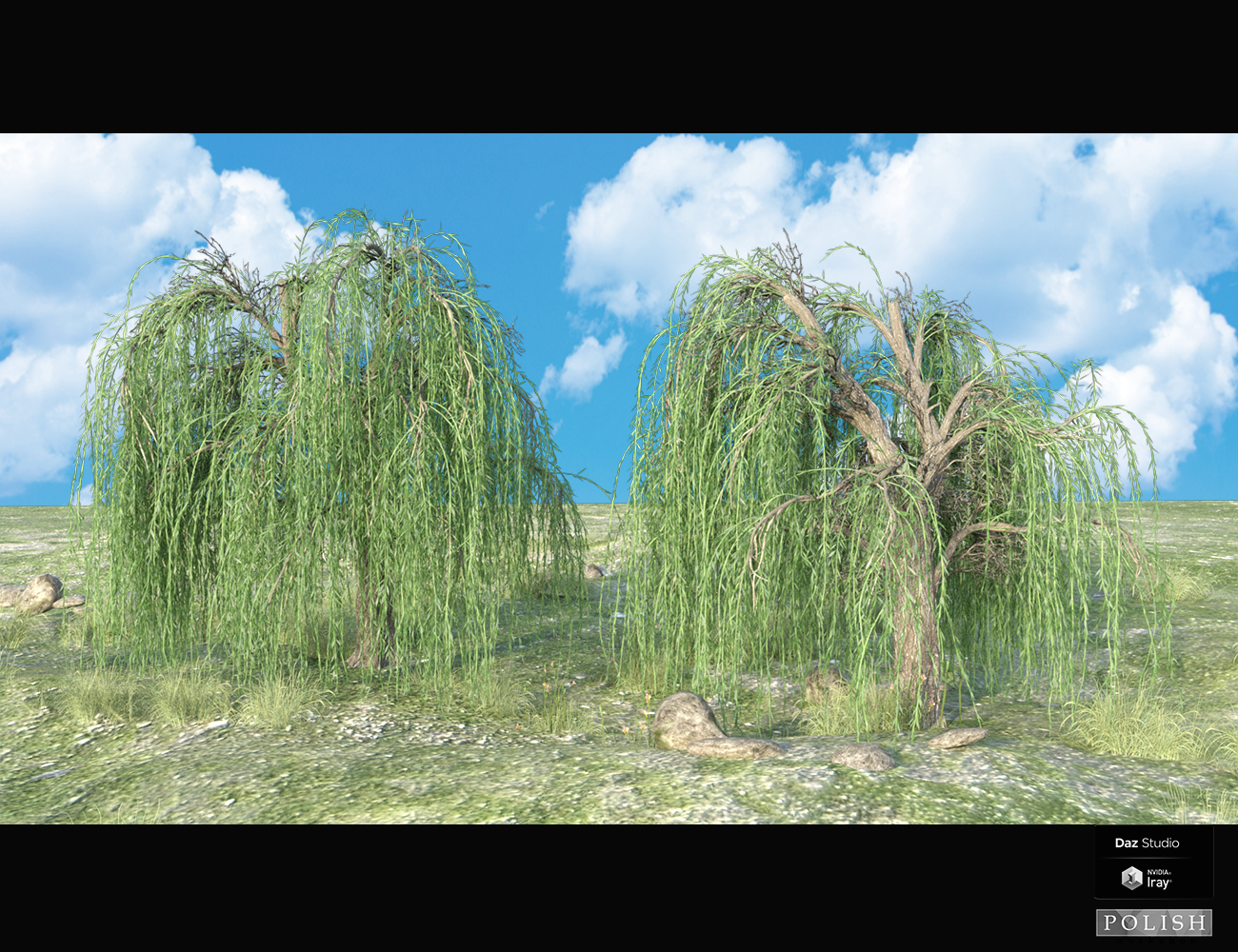 Nature Plants 03 by: Polish, 3D Models by Daz 3D