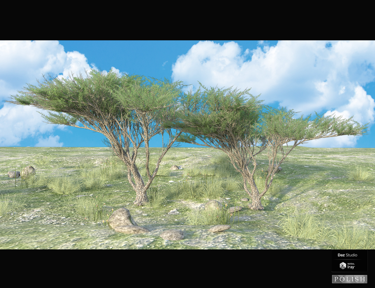 Nature Plants 03 Nature Plants 03 by: Polish, 3D Models by Daz 3D