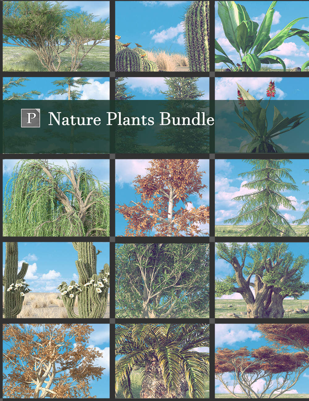 Nature Plants Bundle by: Polish, 3D Models by Daz 3D