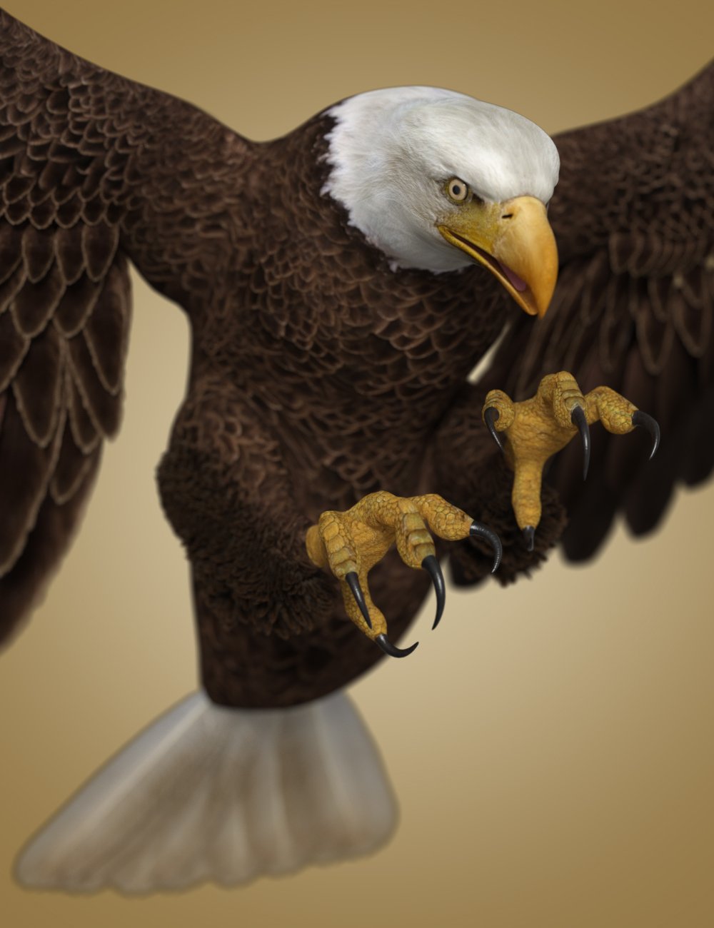Deepsea's Eagle Deepsea's Eagle by: Deepsea, 3D Models by Daz 3D