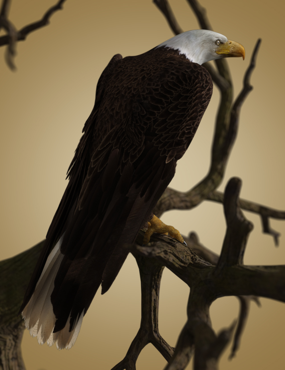 Deepsea's Eagle Deepsea's Eagle by: Deepsea, 3D Models by Daz 3D