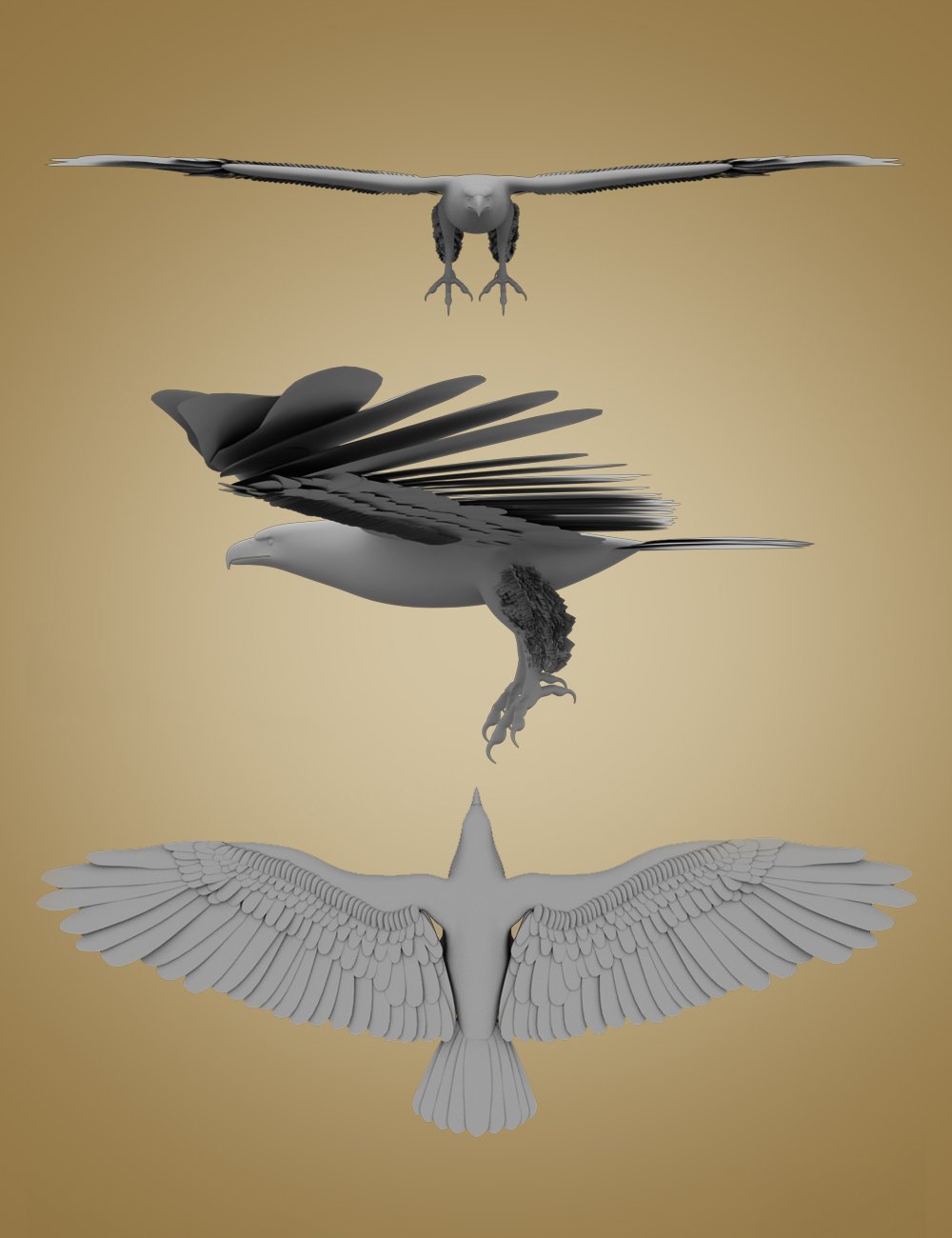 Deepsea's Eagle by: Deepsea, 3D Models by Daz 3D