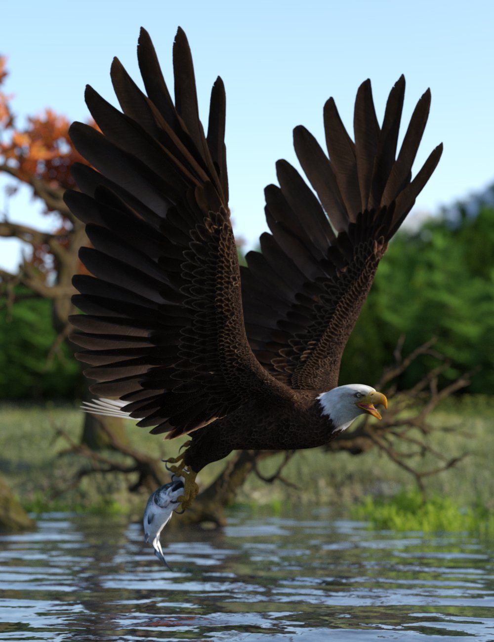 Deepsea's Eagle Poses and Fish by: Deepsea, 3D Models by Daz 3D