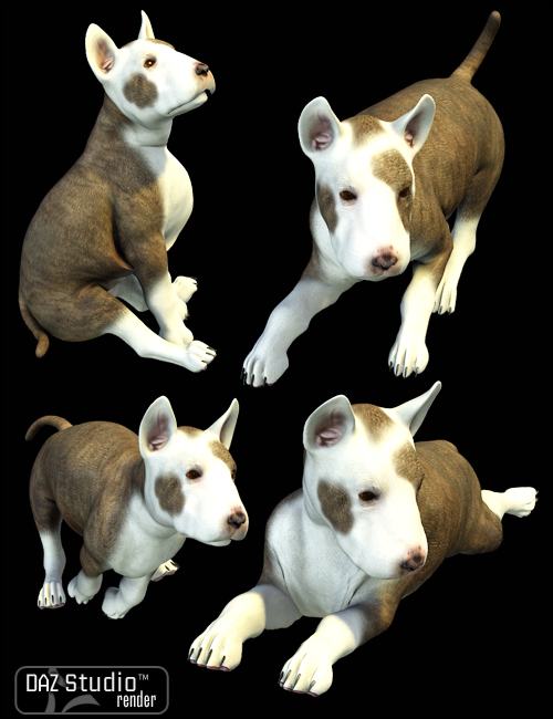 Puppy Poses by: Digiport, 3D Models by Daz 3D