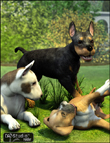 Puppy Poses by: Digiport, 3D Models by Daz 3D