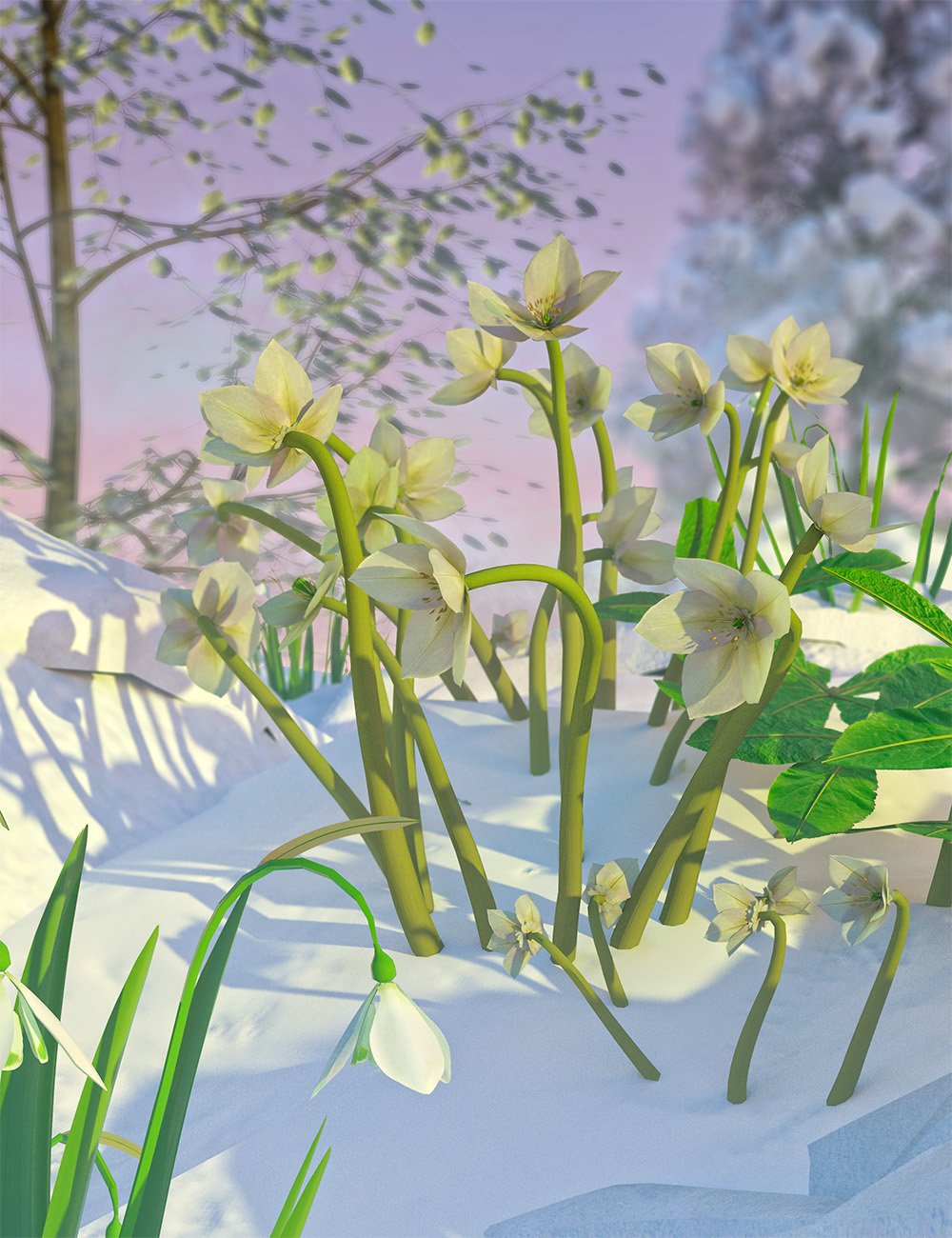 Garden Plants -  Helleborus orientalis  Christmas Rose Flowers by: MartinJFrost, 3D Models by Daz 3D