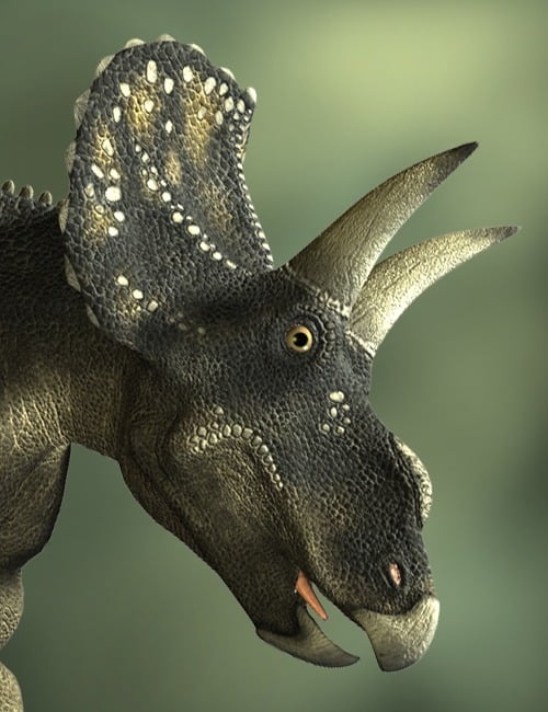 Diceratops by: , 3D Models by Daz 3D