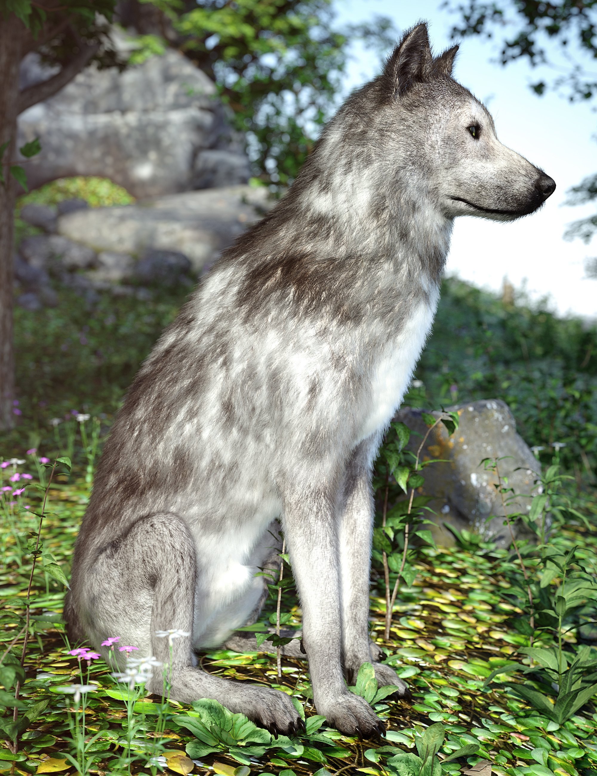Grey Wolf for Daz Dog 8 by: , 3D Models by Daz 3D
