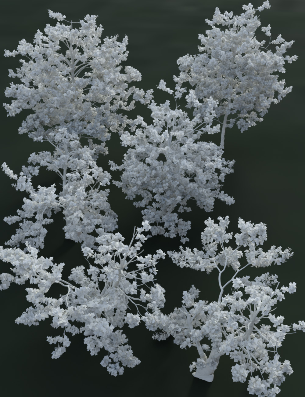 Tropical and Sub Tropical Foliage - Trees and Shrubs by: MartinJFrost, 3D Models by Daz 3D
