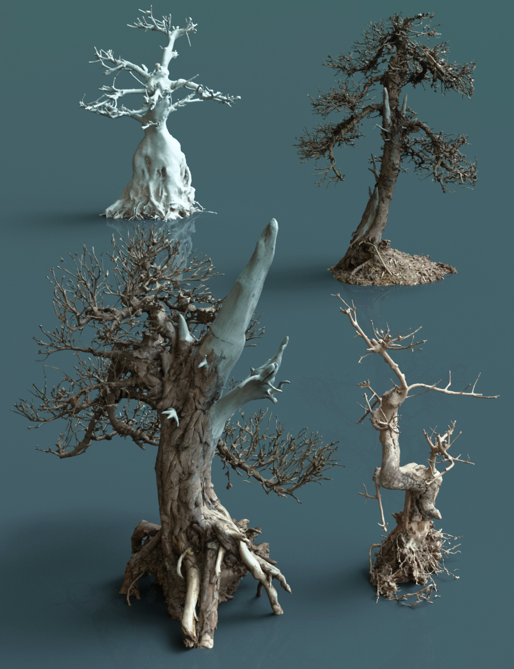 4 Dead Bonsai Trees by: Polygonal Miniatures, 3D Models by Daz 3D
