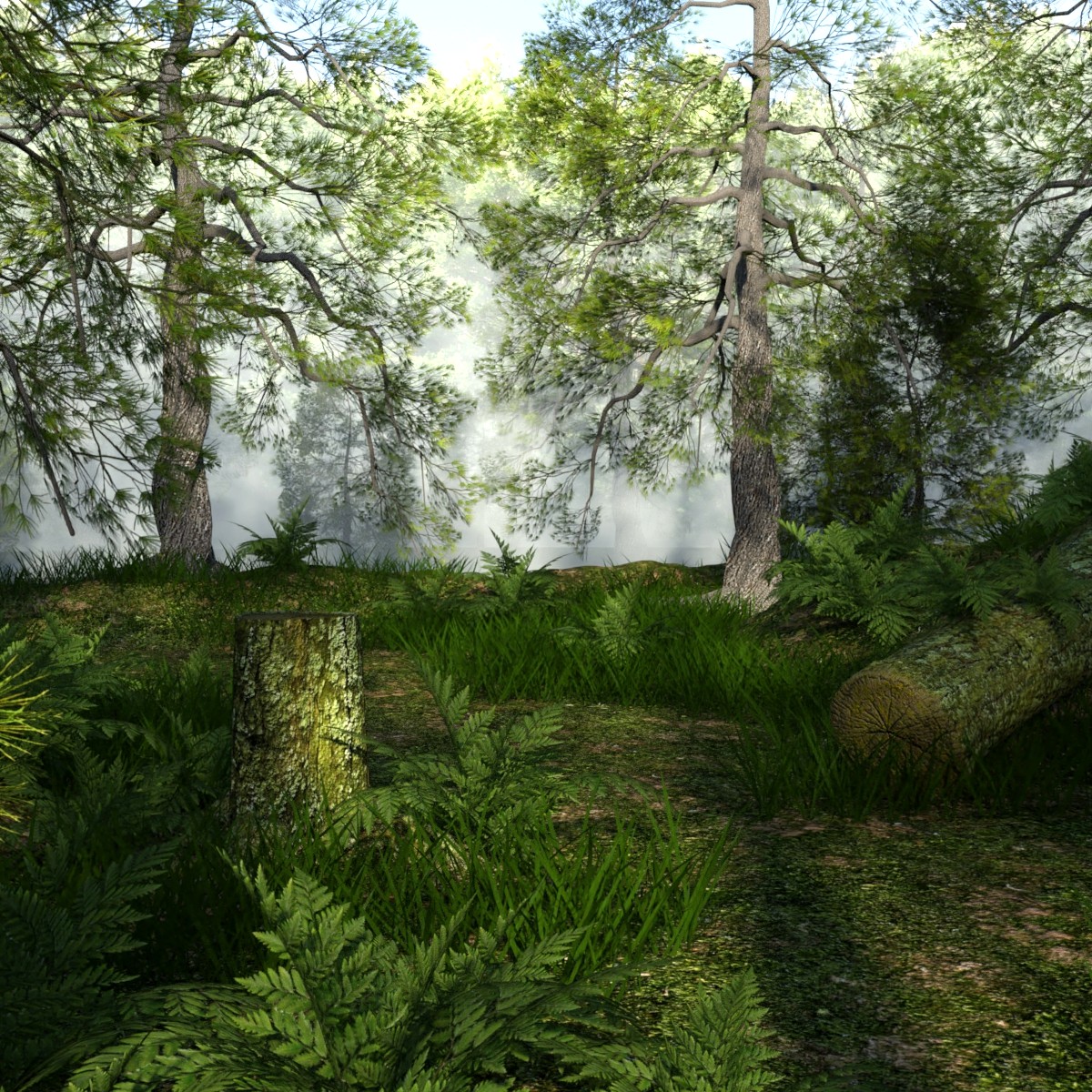 Foggy Forest by: JeffersonAF, 3D Models by Daz 3D