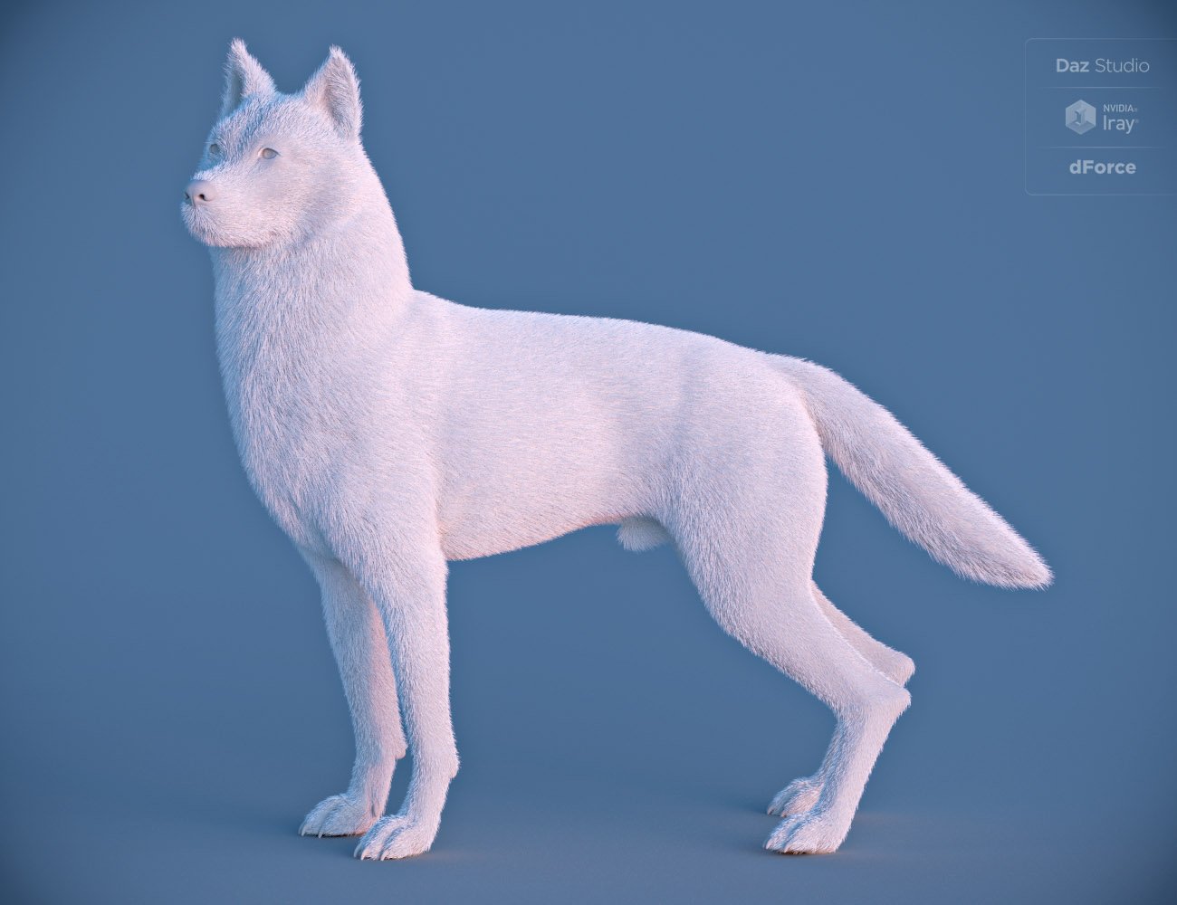 Husky for Daz Dog 8 Husky for Daz Dog 8 by: , 3D Models by Daz 3D