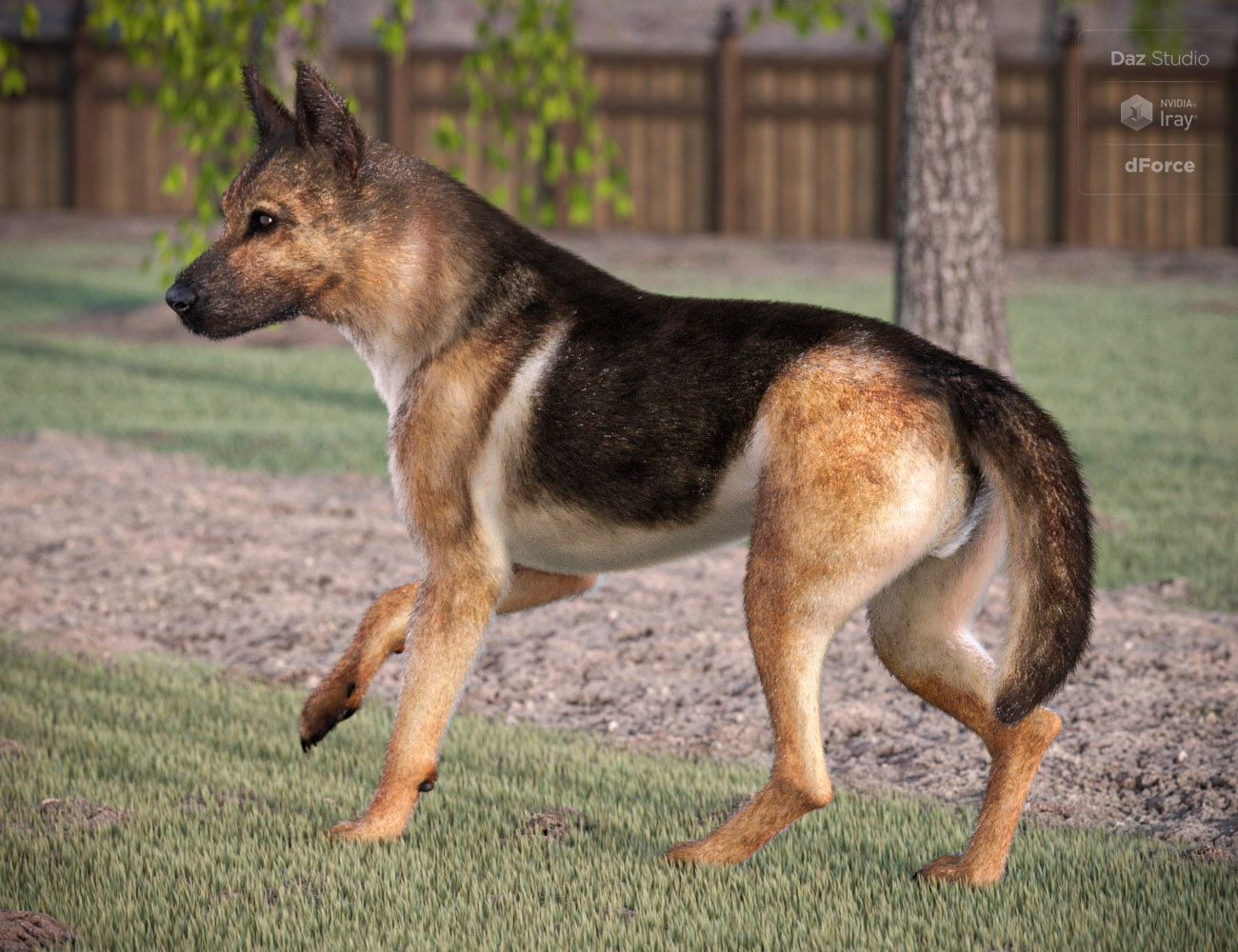 German Shepherd for Daz Dog 8 by: , 3D Models by Daz 3D