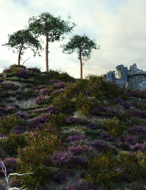 Heath and Moorland Plants and Ecosystems for Vue by: MartinJFrost, 3D Models by Daz 3D