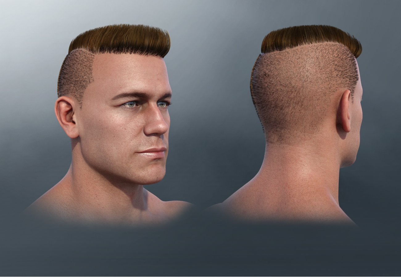 Military Cut Style dForce Hair for Dain 8 and Genesis 8 Male(s) by: , 3D Models by Daz 3D
