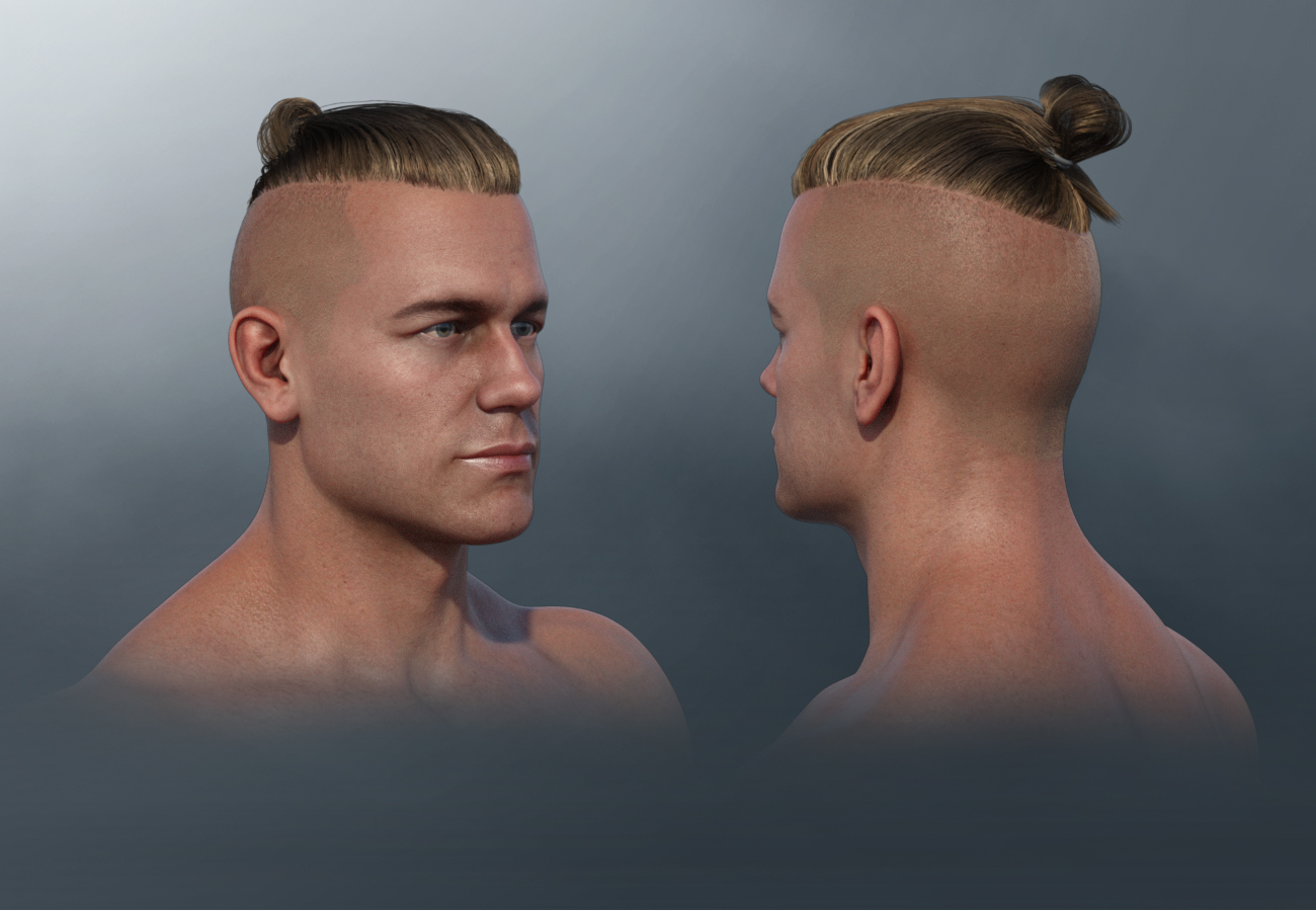 Samurai Style Hair for Dain 8 and Genesis 8 Male(s) by: , 3D Models by Daz 3D