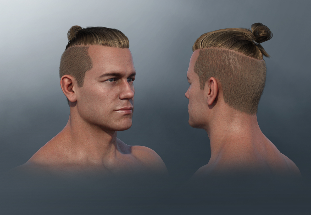 Samurai Style Hair for Dain 8 and Genesis 8 Male(s) by: , 3D Models by Daz 3D