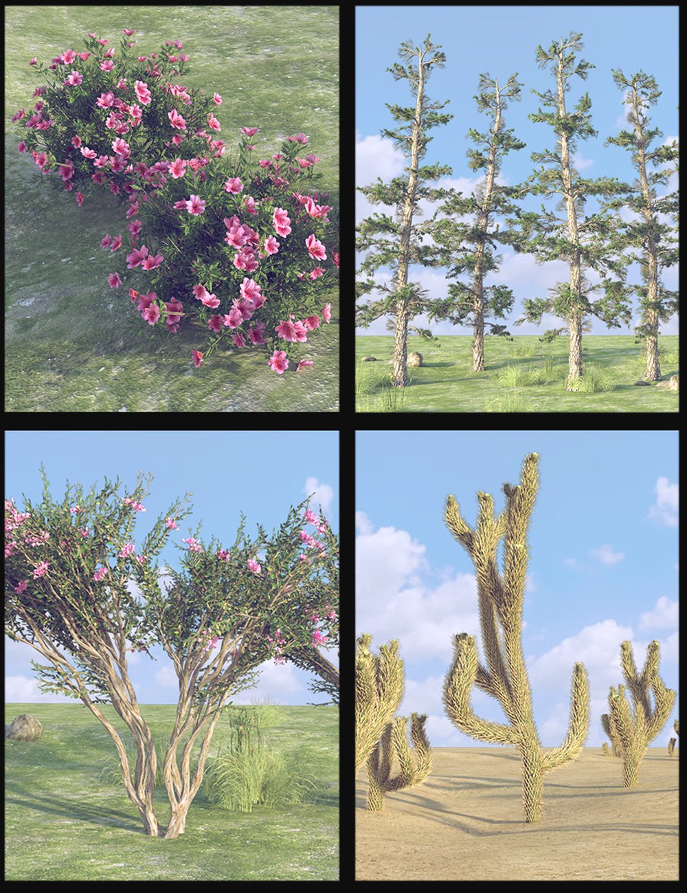 Nature Plants 06 by: Polish, 3D Models by Daz 3D