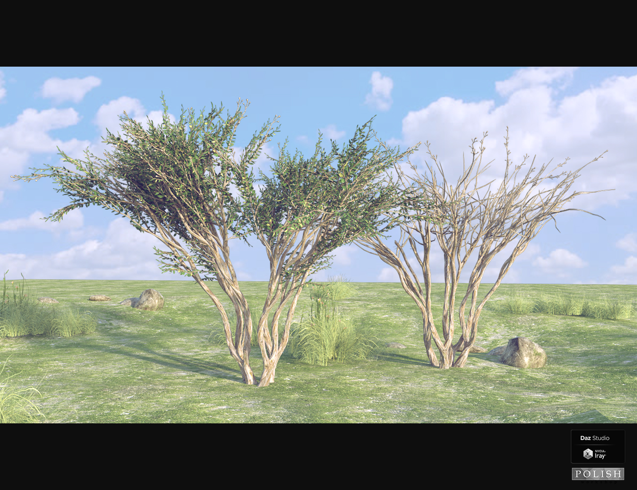 Nature Plants 06 Nature Plants 06 by: Polish, 3D Models by Daz 3D