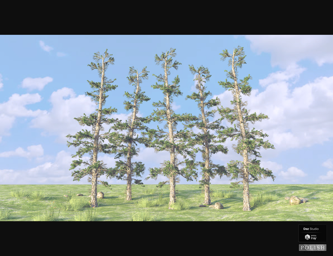 Nature Plants 06 Nature Plants 06 by: Polish, 3D Models by Daz 3D