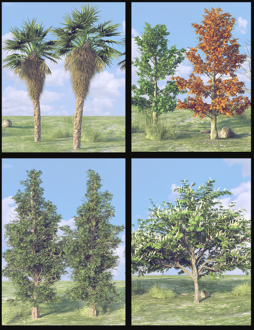 Nature Plants 05 by: Polish, 3D Models by Daz 3D