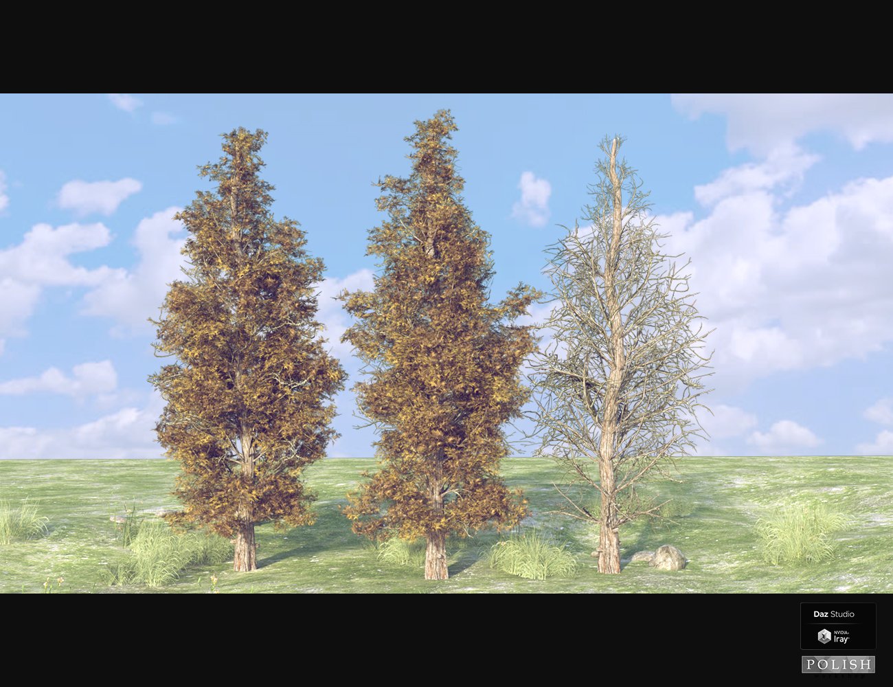 Nature Plants 05 Nature Plants 05 by: Polish, 3D Models by Daz 3D
