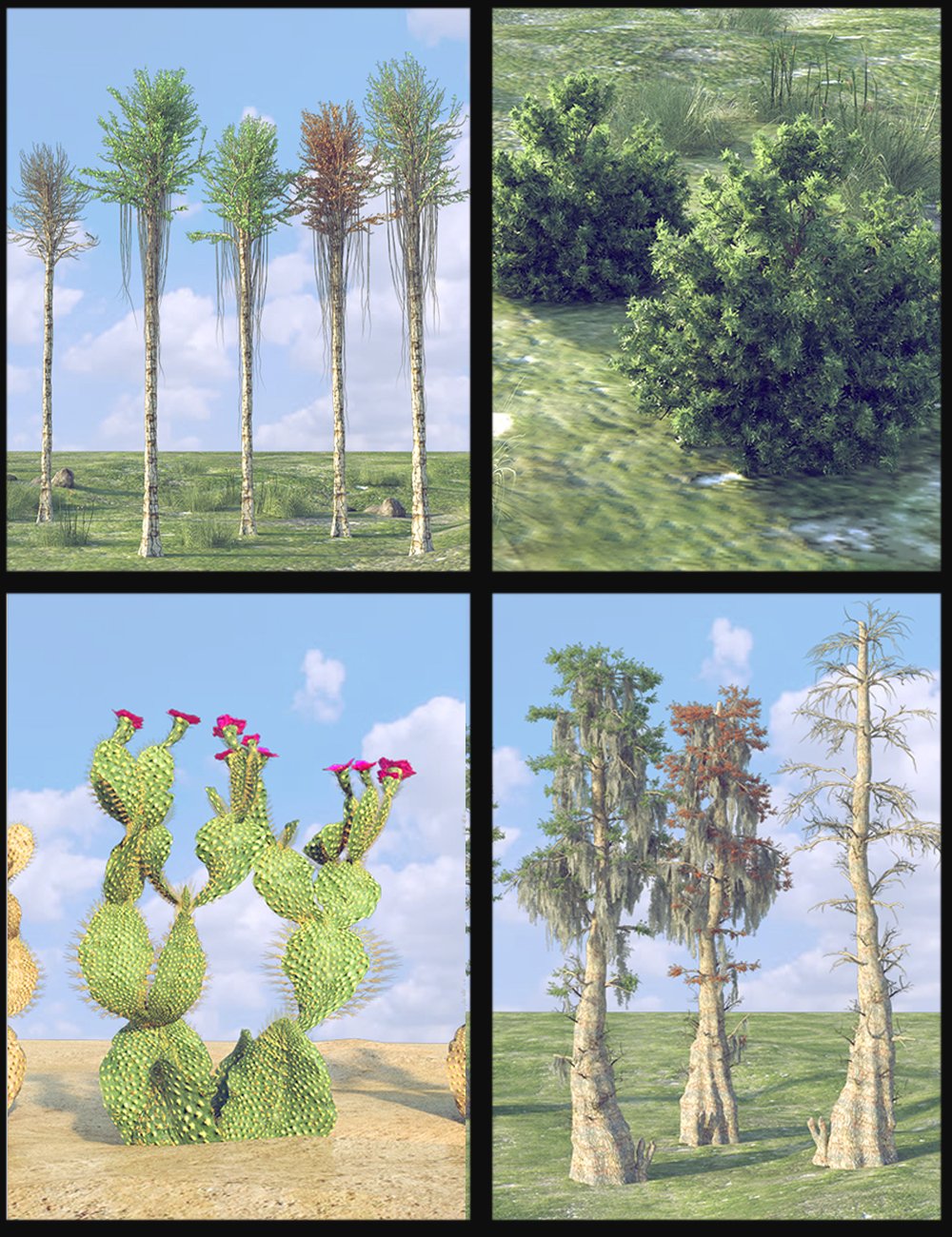Nature Plants 04 by: Polish, 3D Models by Daz 3D