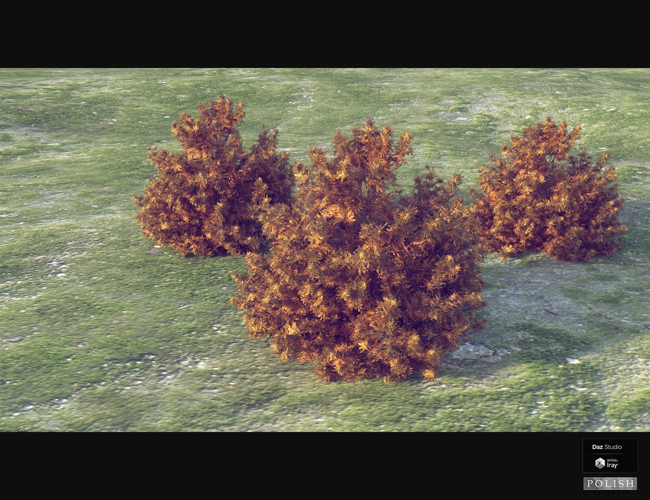 Nature Plants 04 by: Polish, 3D Models by Daz 3D