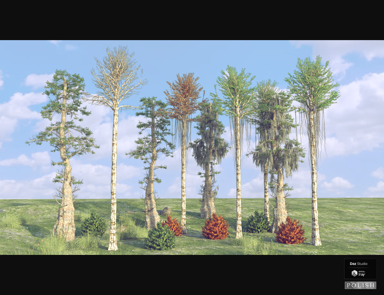 Nature Plants 04 Nature Plants 04 by: Polish, 3D Models by Daz 3D