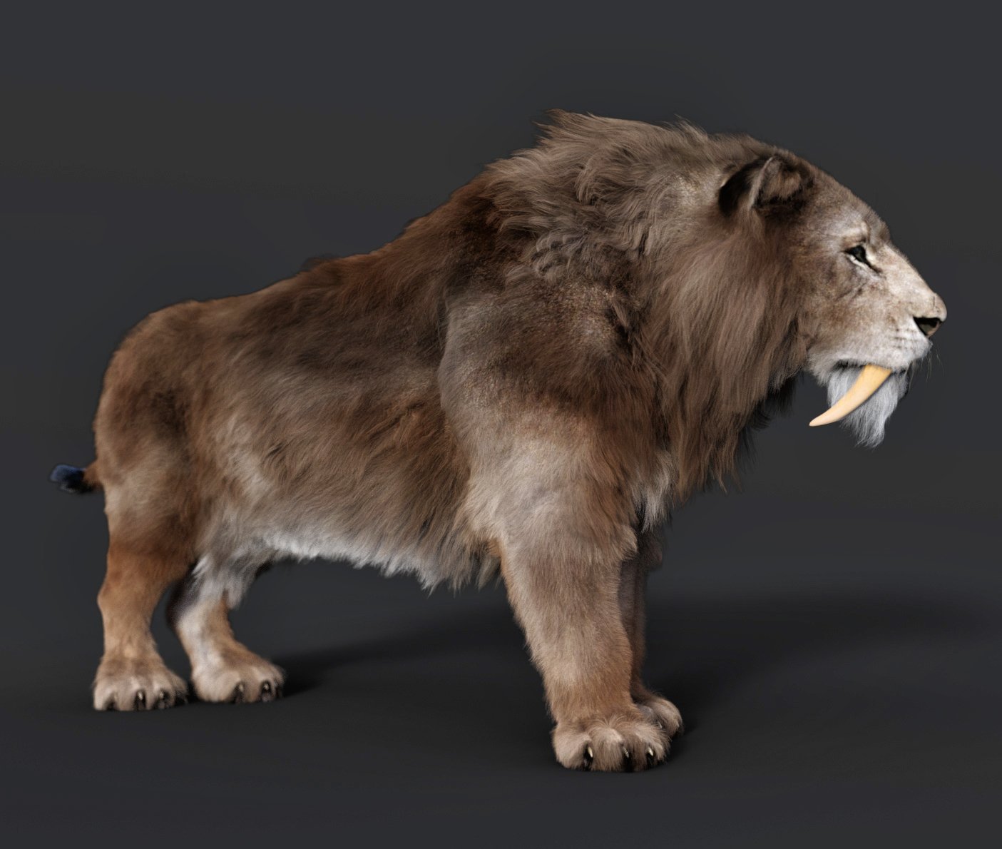 Felidae by AM - Smilodon Populator - Companion Pack by: Alessandro_AM, 3D Models by Daz 3D
